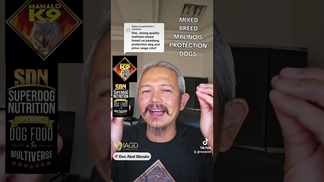 MIXED BREED MALINOIS PROTECTION DOGS