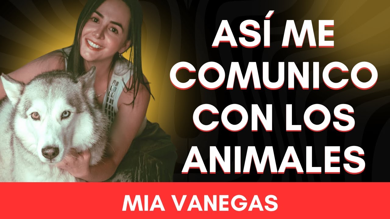 TU MASCOTA TIENE UN MENSAJE PARA TI: LA COMUNICACI&Oacute;N ANIMAL EXISTE