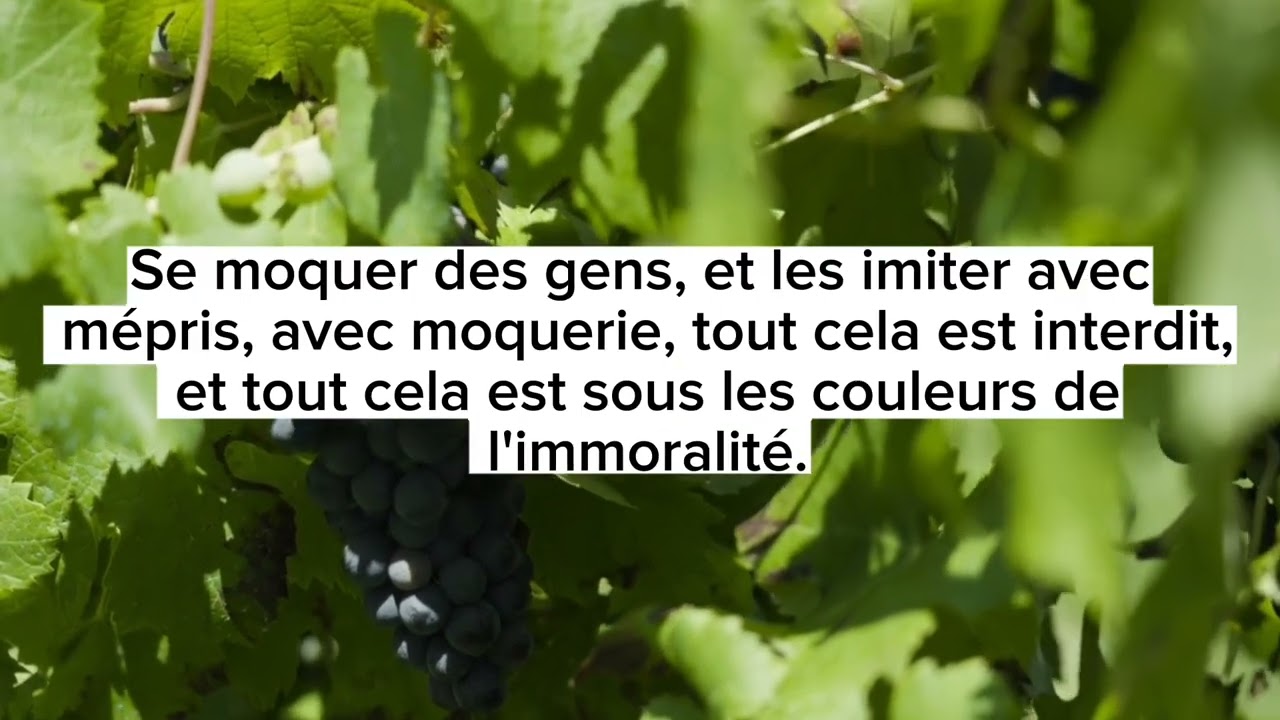 la moquerie, le sarcasme - cheikh Salih Alsohaime