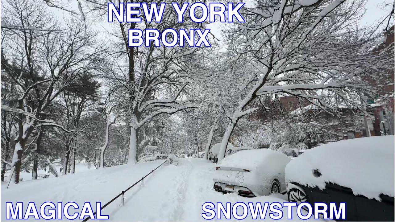 New York 2026 Blizzard Winter Snowstorm In Bronx Neighborhoods NYC Bronx Magical Heavy Snowfall 