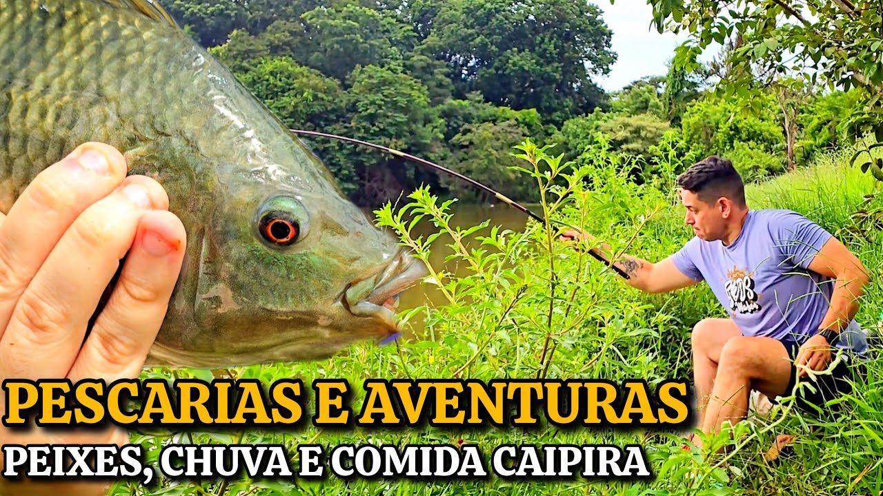 PESCARIA, MATO E FOGÃO A LENHA! RETORNO DE UM PARCEIRO #fypシ #pesca #bushcraft 