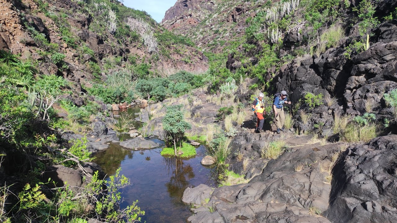 03-02-2025 Punta del Hidalgo - Barranco del Río 