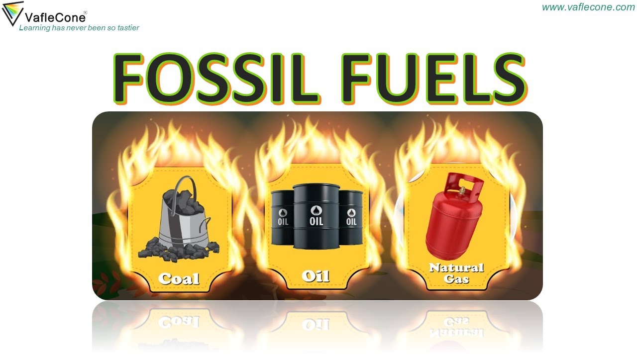 Fossil Fuel l Types and Conservation of Fuels l Uses and alternate fuels l class 5 Science