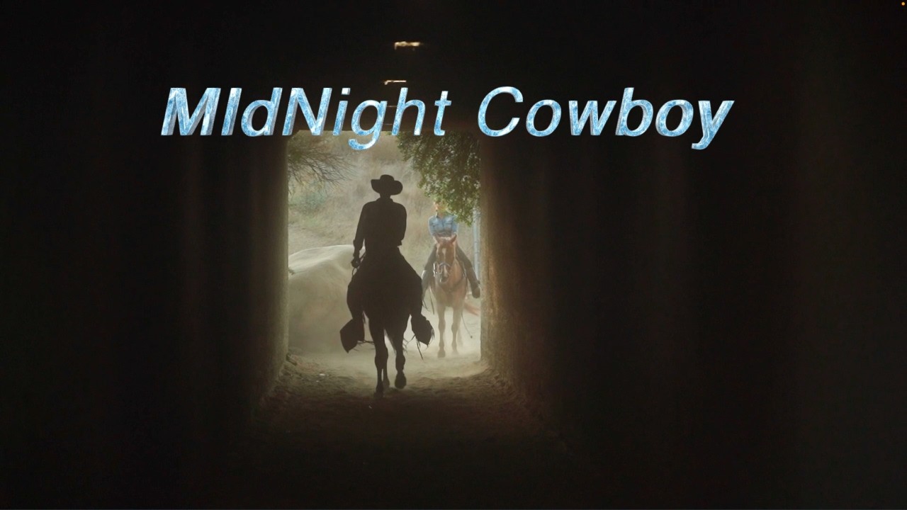 MIdNight Cowboy Chromatic Harmonica