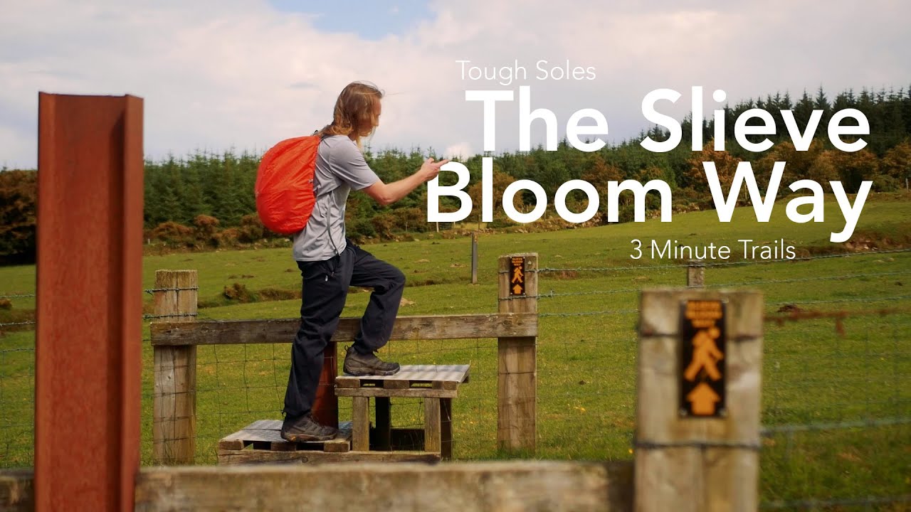 The Slieve Bloom Way 👣 3 Minute Trails