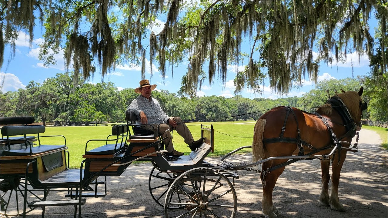 🇺🇸 MIDDLETON PLACE PLANTATION in Charleston, SC | Horse-drawn carriage ride with Mr. Bob (4K)