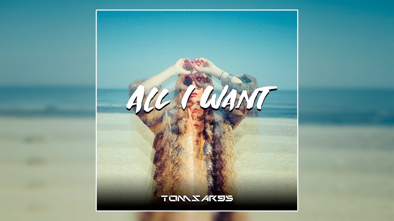 Tomsar95 - All I Want (Official Visualizer)