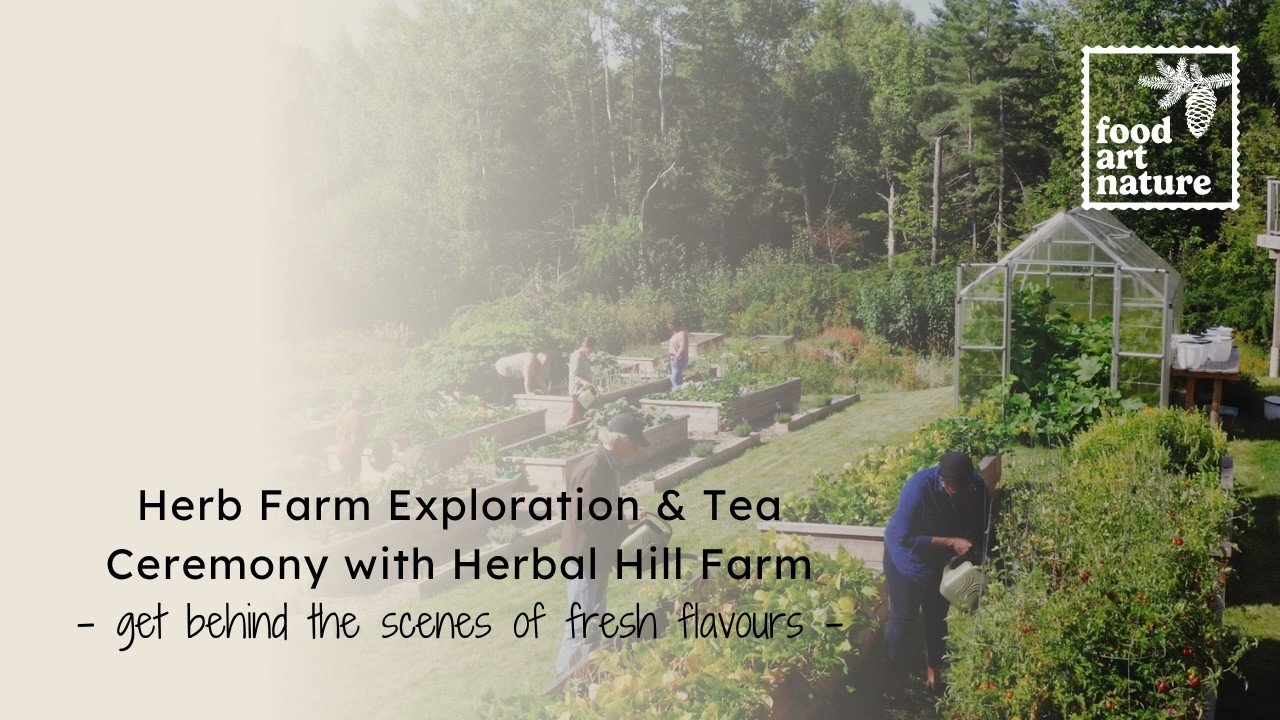 Herb Farm Exploration & Tea Ceremony | A FoodArtNature Experience with Herbal Hill Farm 🌱🫖