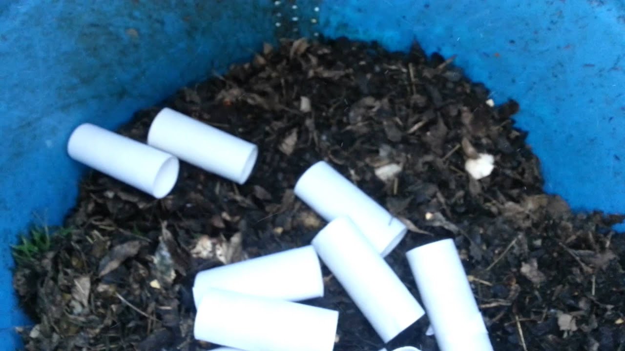 Toilet Paper Rolls in the Compost Bin