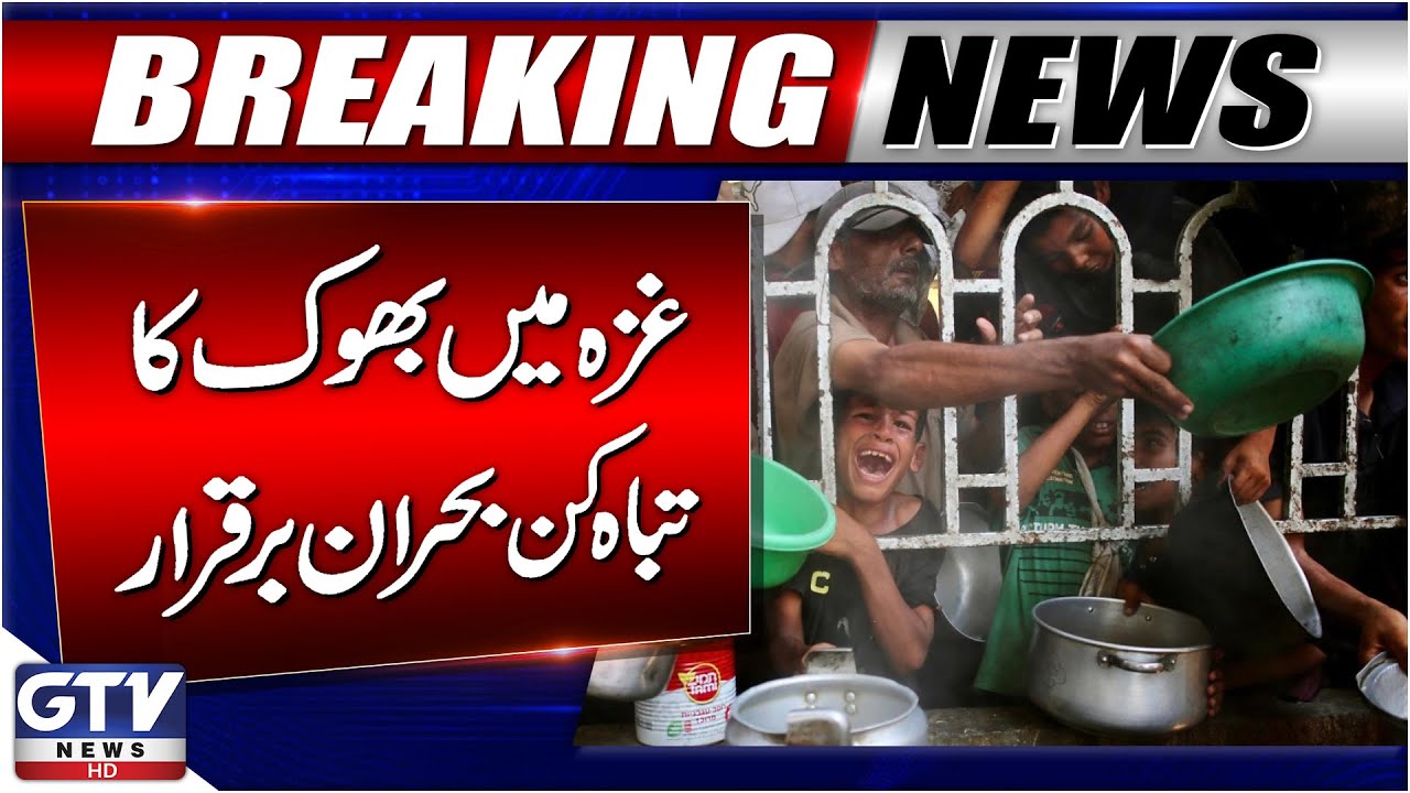 Gaza’s Hunger Crisis Continues | Israel Gaza Conflict | Latest Update | Breaking News