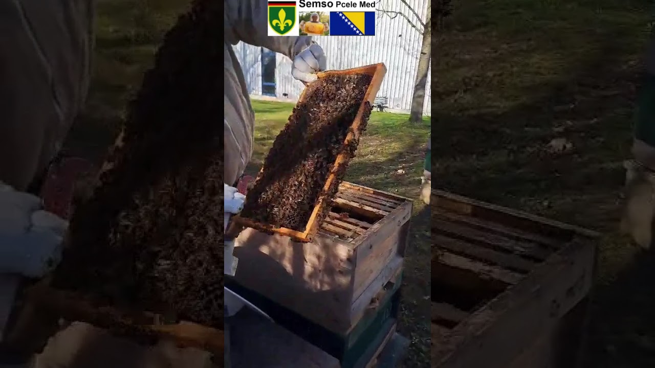 Kontrolla prakticno 27.02.2023 Semso