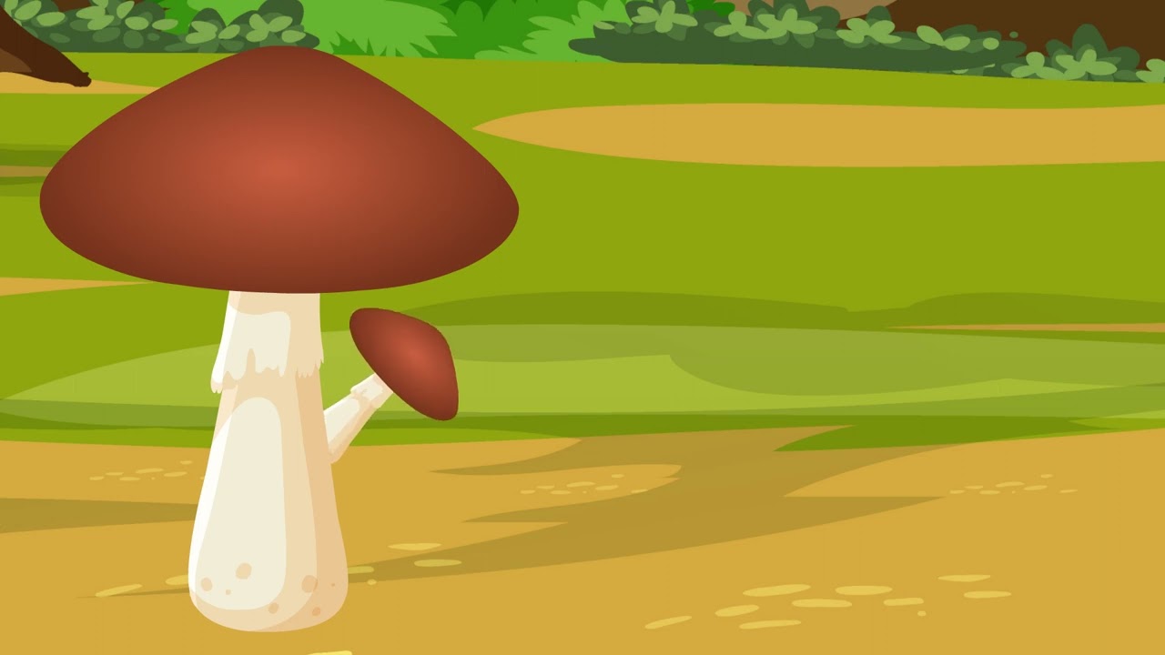 budding of fungi