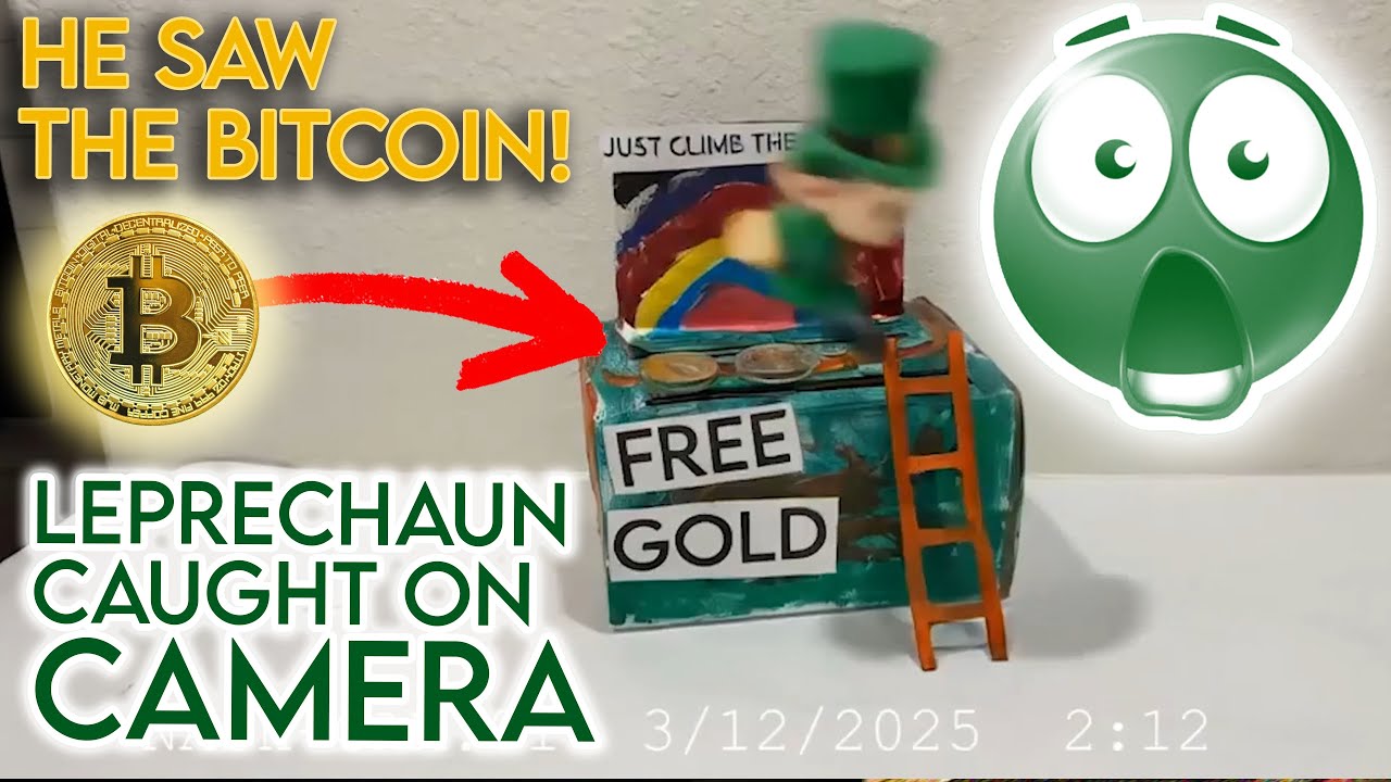 We Caught a REAL LEPRECHAUN on Camera! 🍀 (Must-See Footage!)