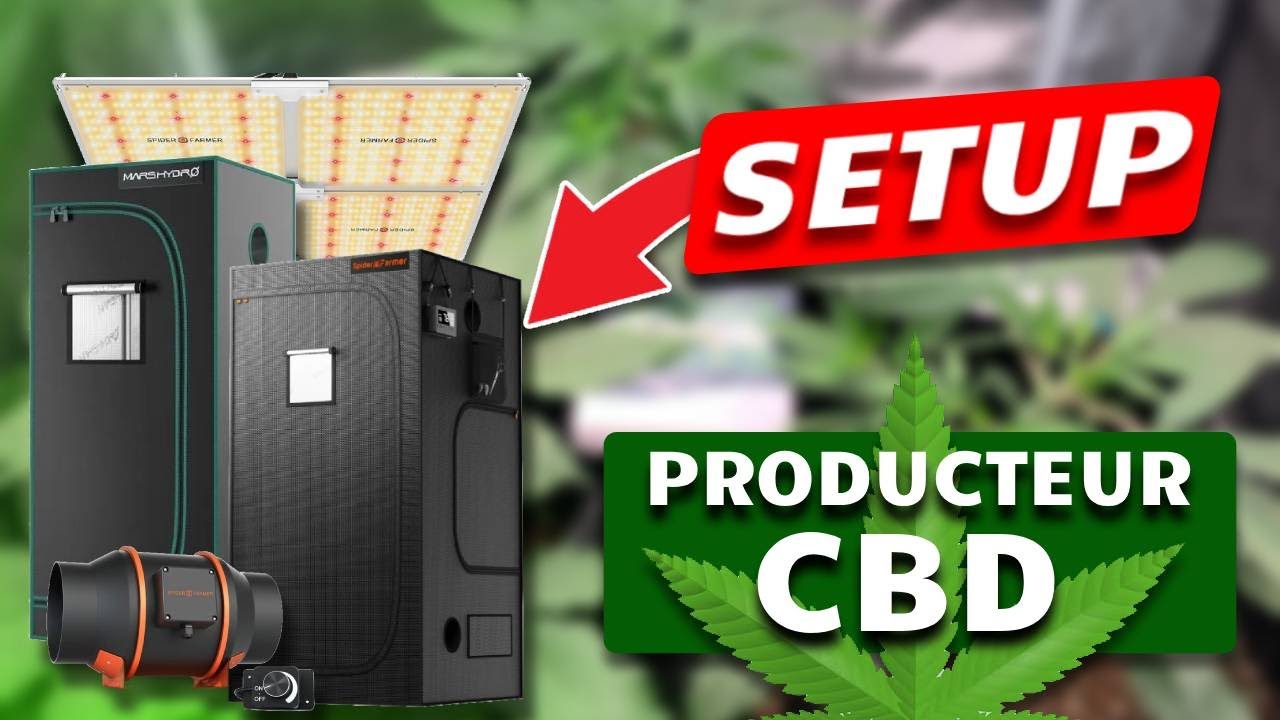 Mon SETUP de PRODUCTEUR de CBD Fran&ccedil;ais