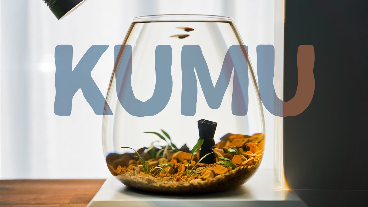 【ｱｸｱﾘｳﾑ】ADA新素材KUMUでボトルアクア組む【ﾍﾟﾙｺ】