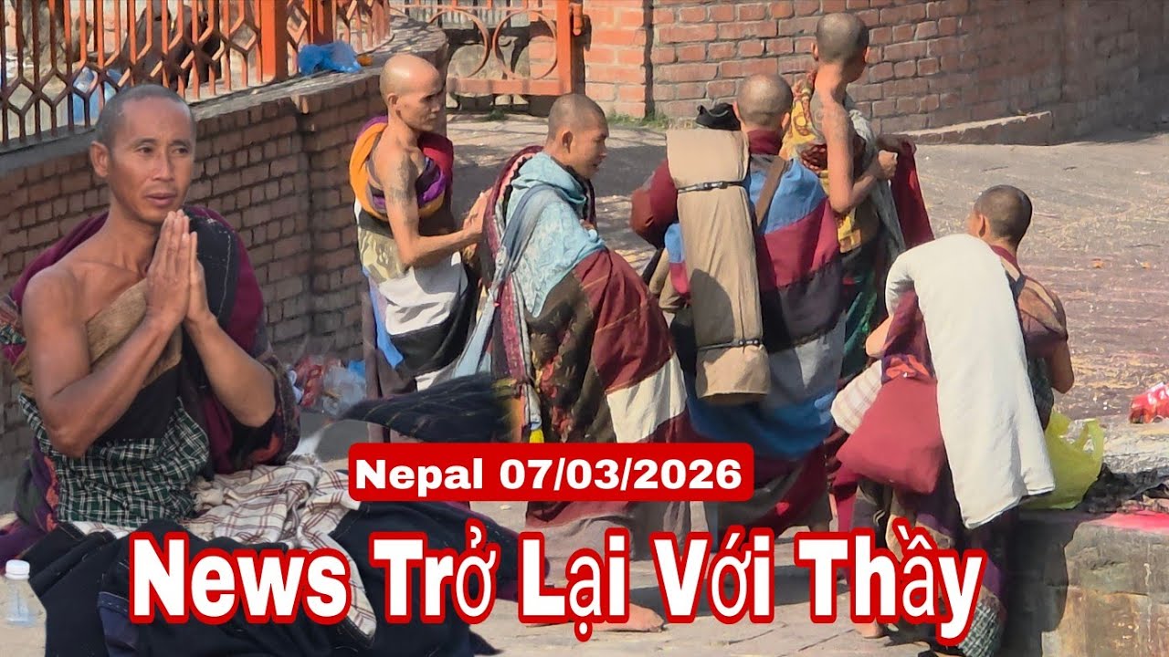 News trở lại với thầy, sư Minh Tuệ và các sư Nhỏ rất vui vẻ bình an sáng 7/3/26