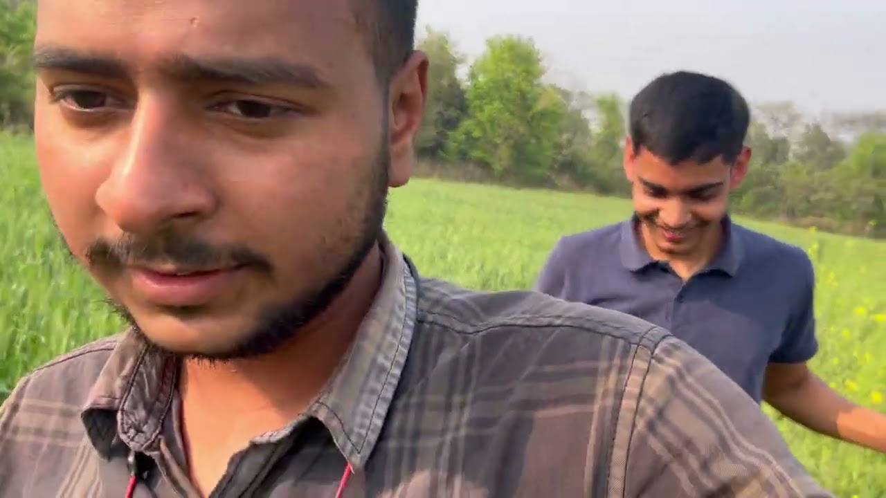 Nilgay nhi mila #trending #viralvideo #funny #nilgai #viral #wildlife #wildanimals #rabbit #village 