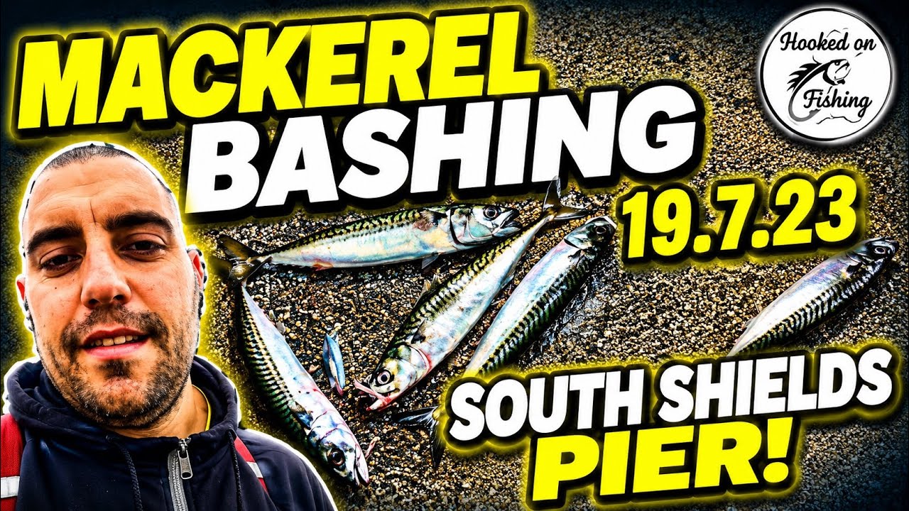 Mackerel bashing at South Shields pier - what a fun day! 🎣