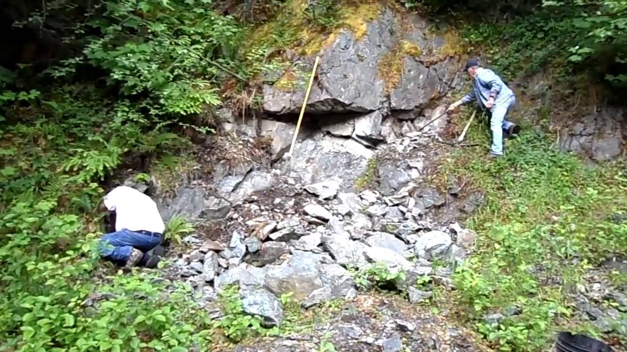 Lookin 4 GOLD and Found a Quartz Vein on Vancouver Island Canada.