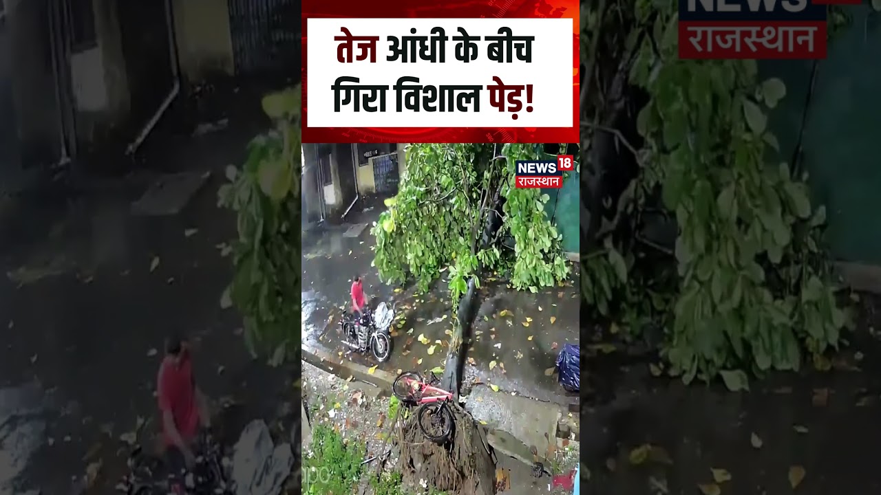Weather Update : तेज आंधी के बीच गिरा विशाल पेड़ !| n18S | Rain | Weather | Top News | Summer