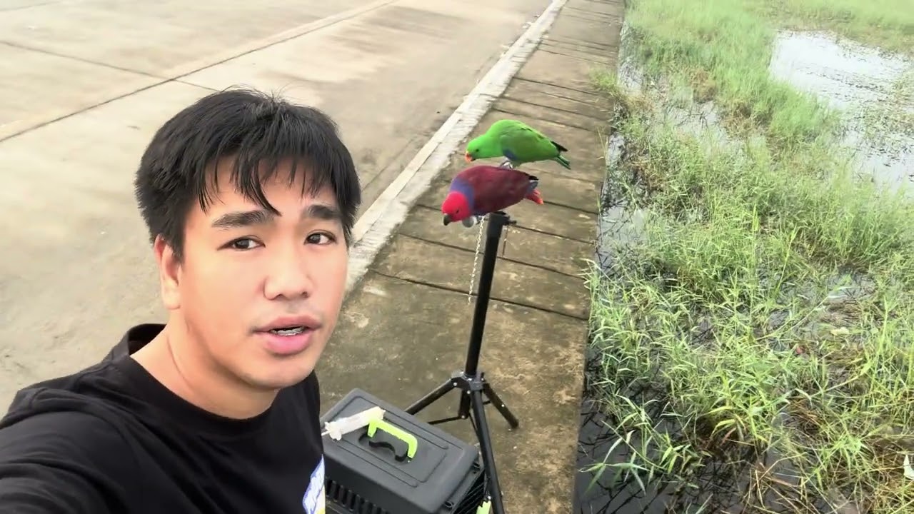 PALIPAD ULIT TAYO
