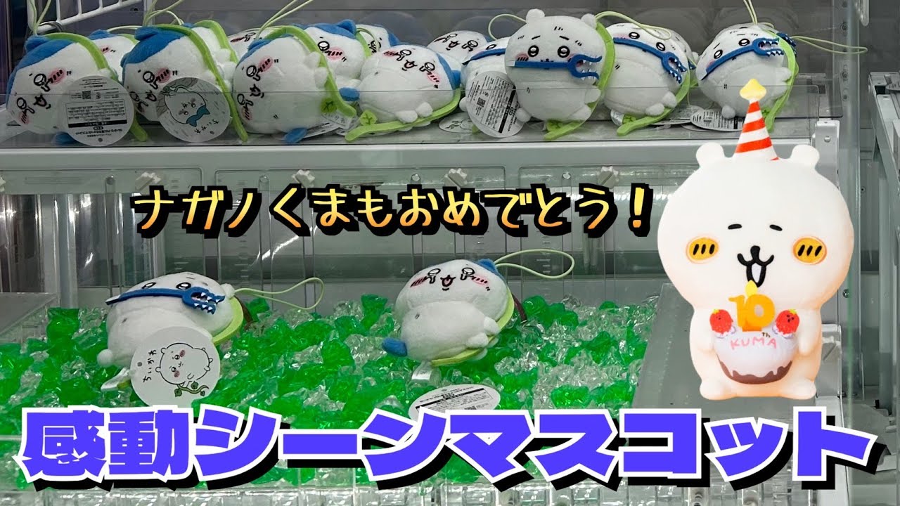 【クレーンゲーム】ちいかわ 穴に落ちちゃったマスコットにチャレンジ！！ナガノのくま　10周年アニバーサリーBIGぬいぐるみにもチャレンジ！