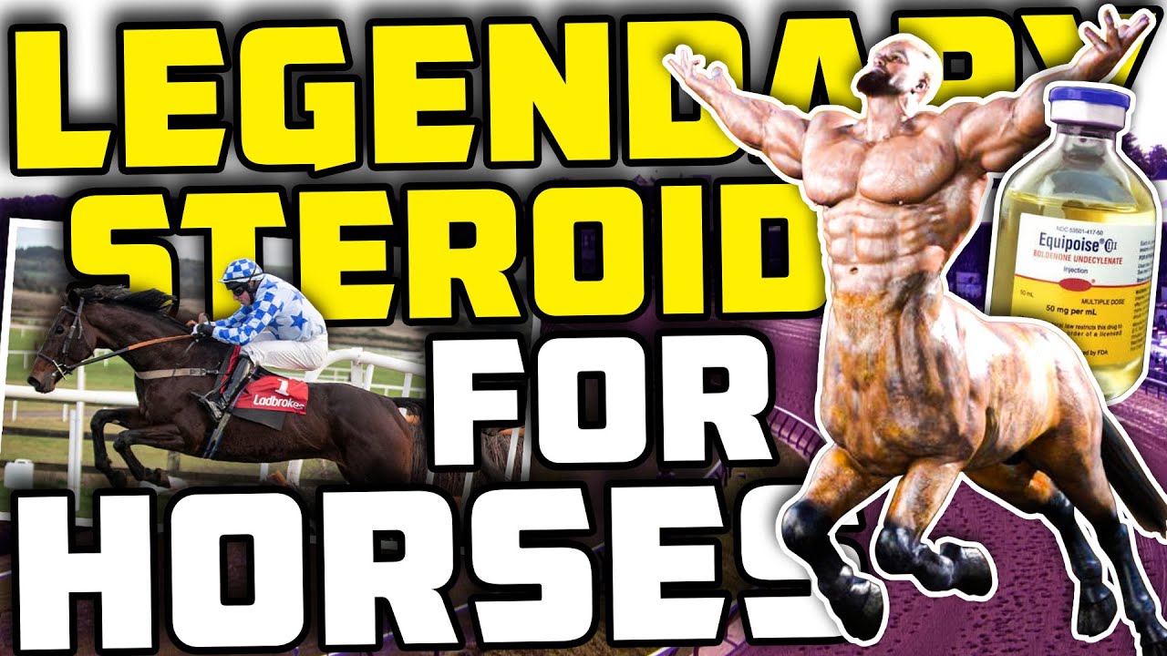 LEGENDARY Steroid For Horses - What It Feels Like To Be On Equipoise