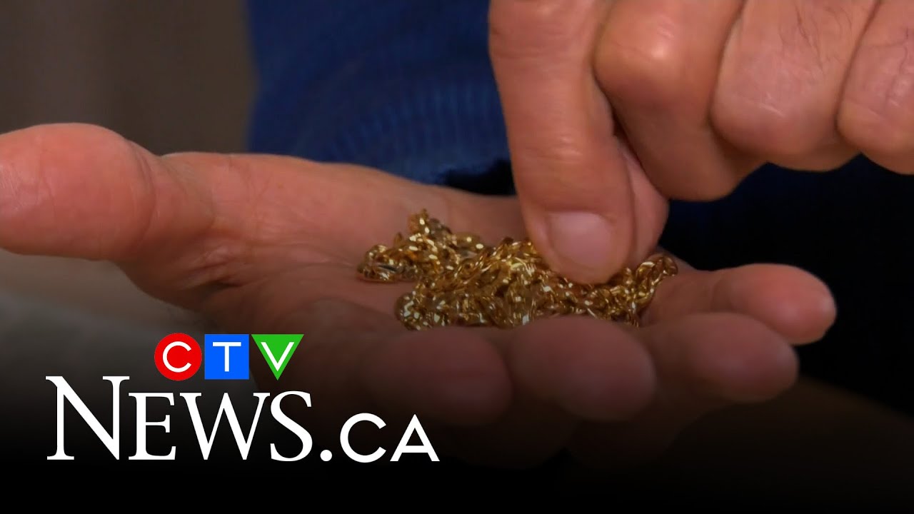 Two seniors lose gold chain to distraction thefts in Toronto
