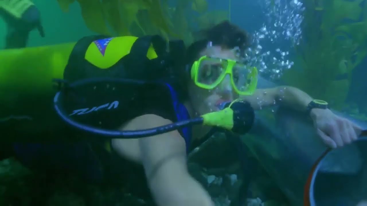 Hot Scuba Girls fight underwater and get out of air
