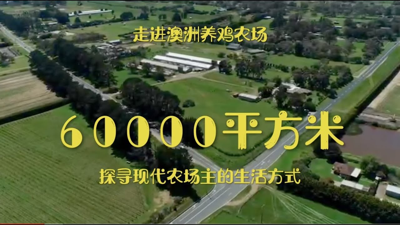 这个农场售价多少呢？要如何去选择和购买价格合适的农场？走进澳洲养鸡农场，探寻现代农场主的生活方式。