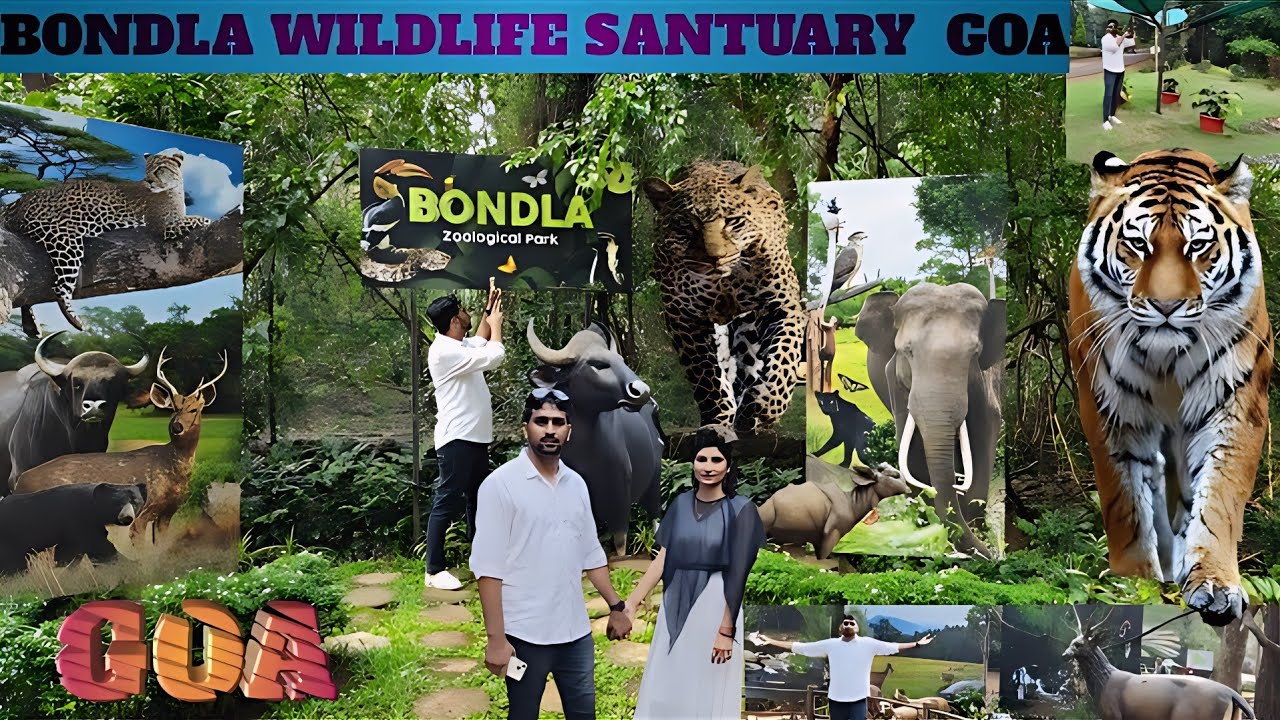 Bondla WILDLIFE Sanctuary Goa🥰|| Goa Tour || Goa Latest video| Zoo video Goa | current affairs