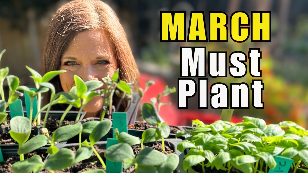 What to Plant in March - Northern, Mid-Zone & Southern Gardens