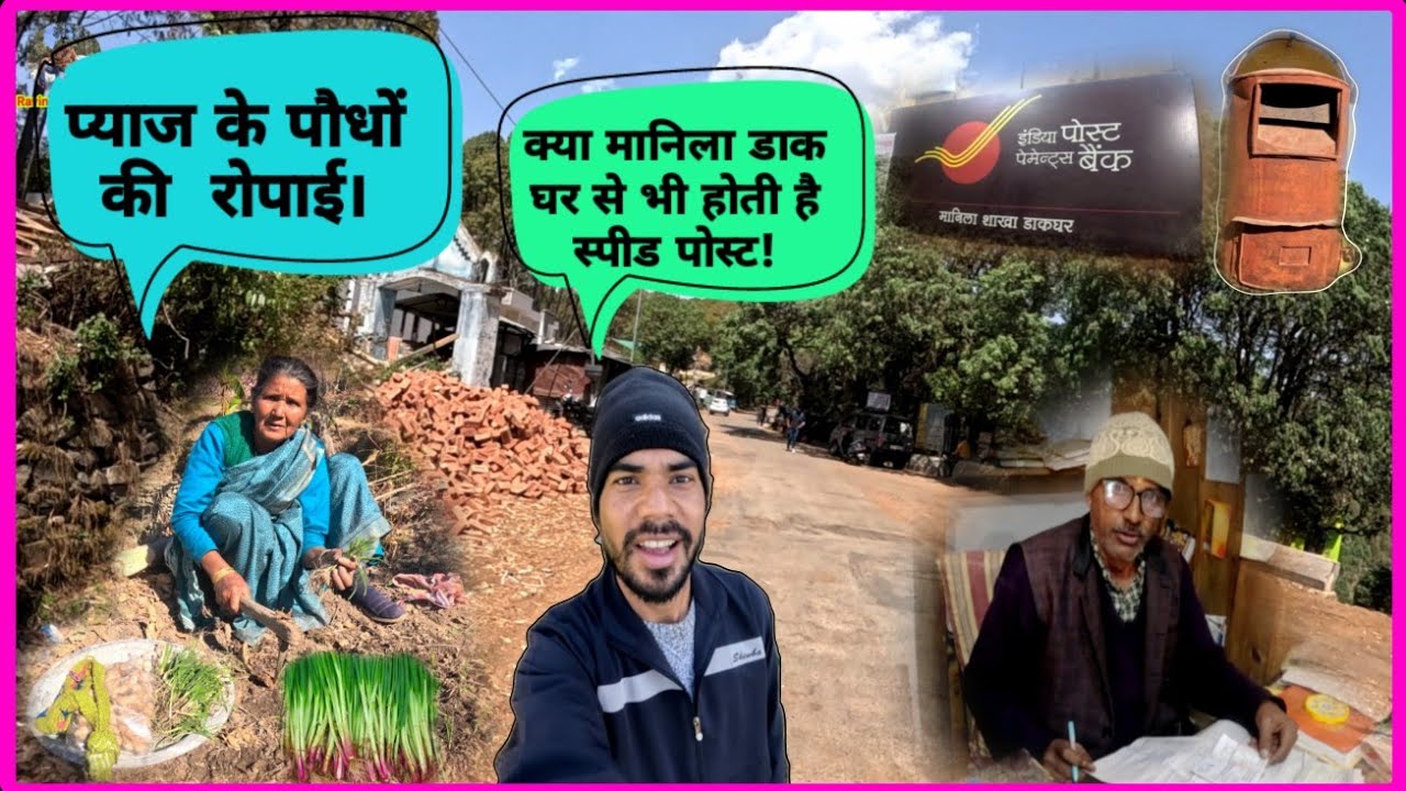 आज चाची जी ने इस सीजन में पहली बार करी प्याज की पौधों की  रोपाई।