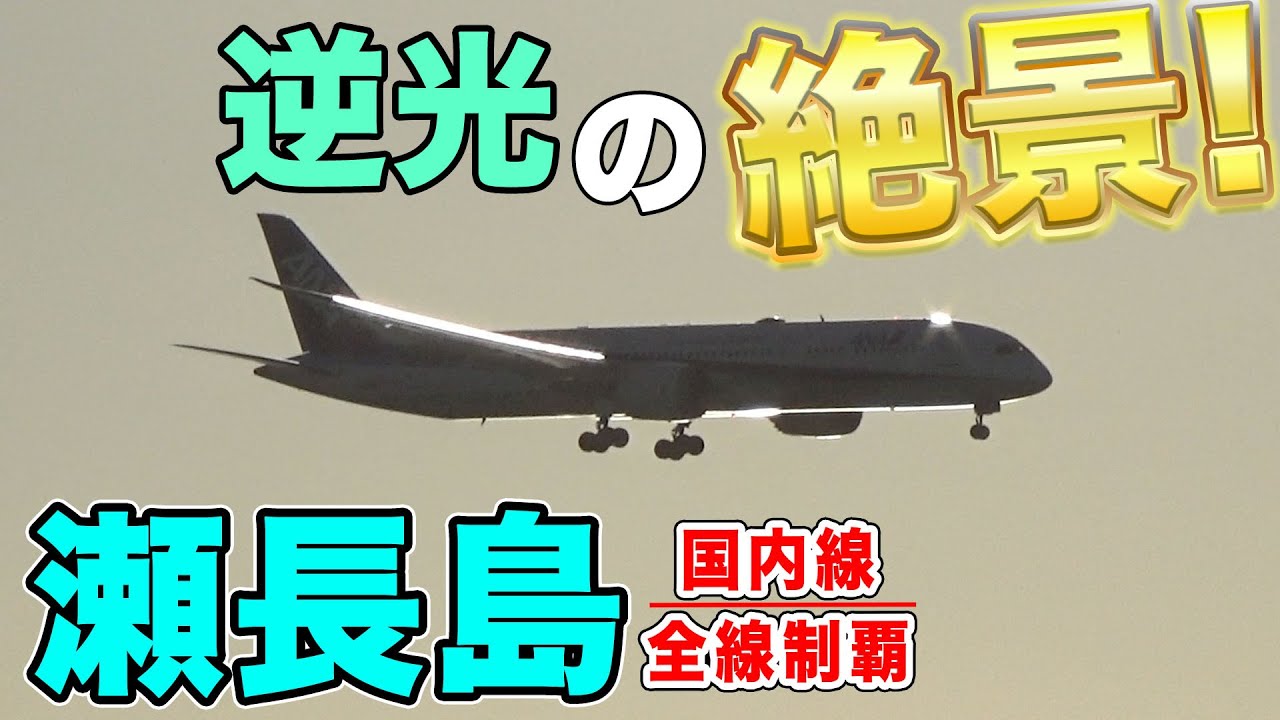 【絶景】沖縄・那覇空港の近くに絶好の飛行機スポットが！午後は逆光になるも、輝く飛行機が見放題！瀬長島の奇跡的な飛行機実況！[国内線制覇 スピンオフ]