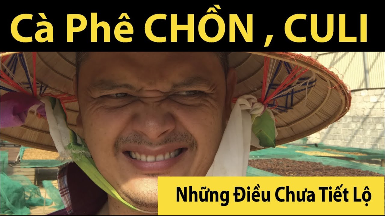 Những lầm tưởng về Cà Phê CHỒN, CULI, HẠT TO mà ít nhất ai cũng từng nghĩ ...