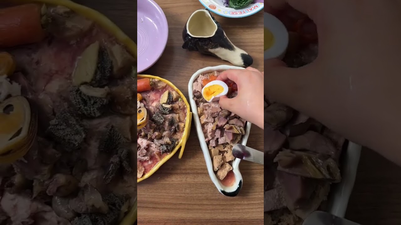 Today's Delights for Big Spatulas & Tiny Tongs - Dog Vlog Unleashed