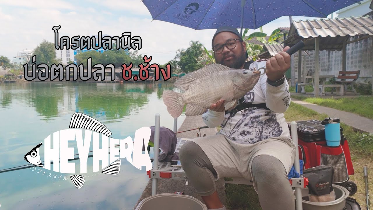 ตกปลานิลบ่อปลาช.ช้างชิงหลิวมือใหม่กับเหยื่อเทพ  :  HEYHERA EP.2