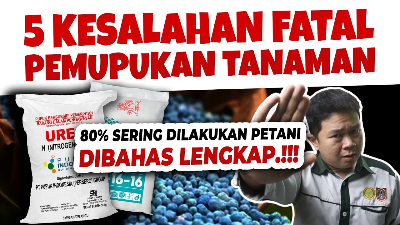 5 KESALAHAN FATAL PEMUPUKAN TANAMAN YANG SERING TERJADI | Agar Tanaman Subur & Berbuah Banyak