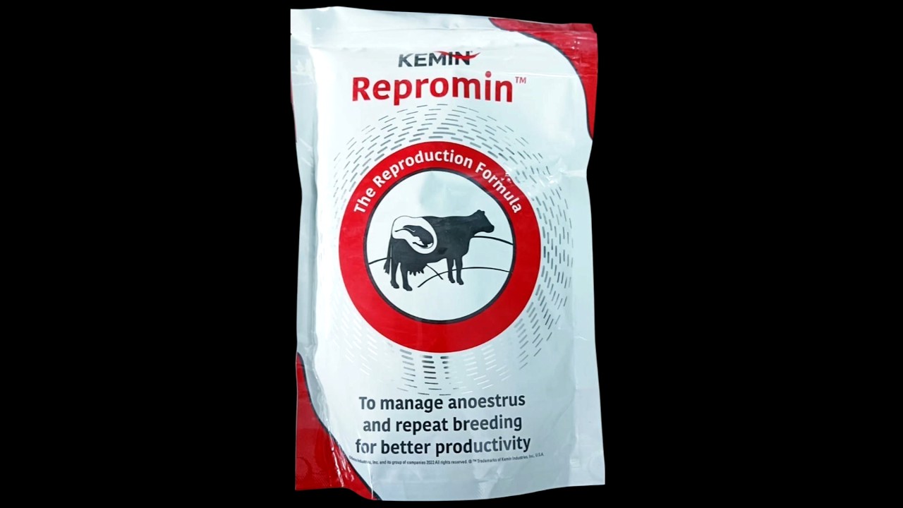 Repromin Powder #repromin #silentheat #anoestrus #repeatbreeding