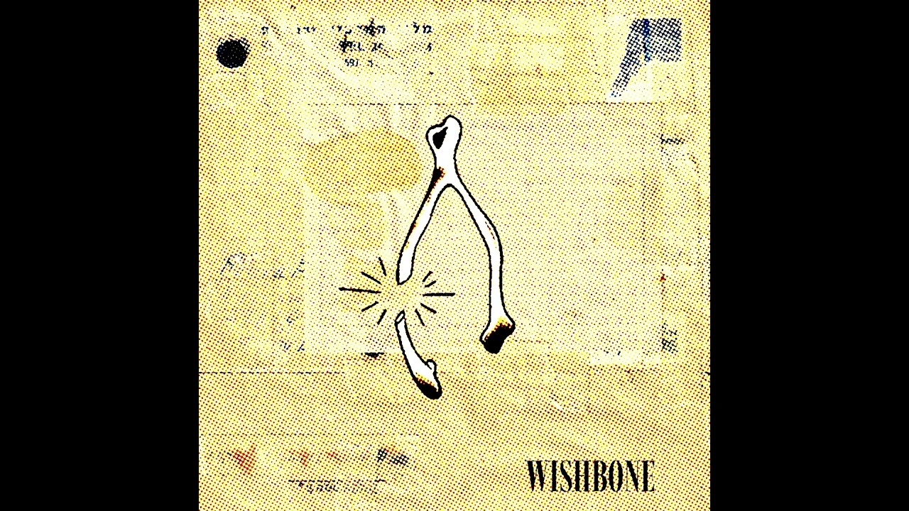 NEMOKAMI - WISHBONE  [OFFICAL AUDIO]