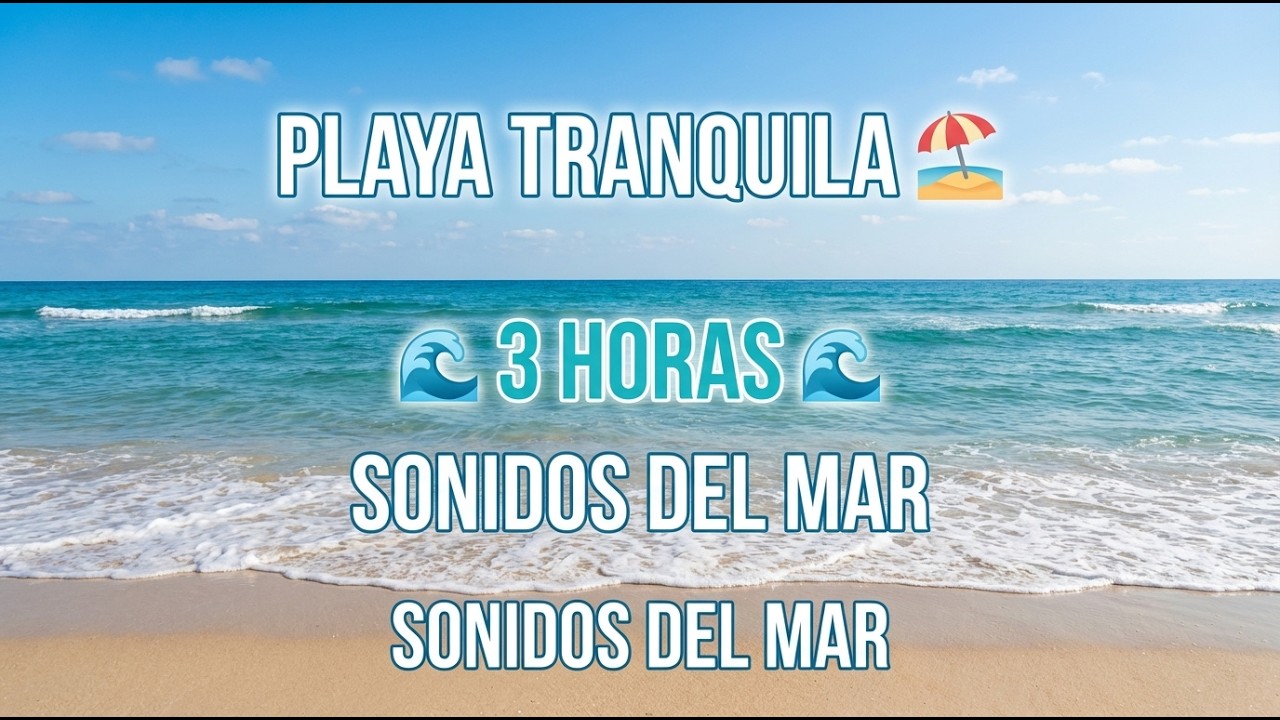 PLAYA TRANQUILA 🌊 3 HORAS de Sonidos del Mar | Olas del Océano para Dormir, Meditar y Relajarse