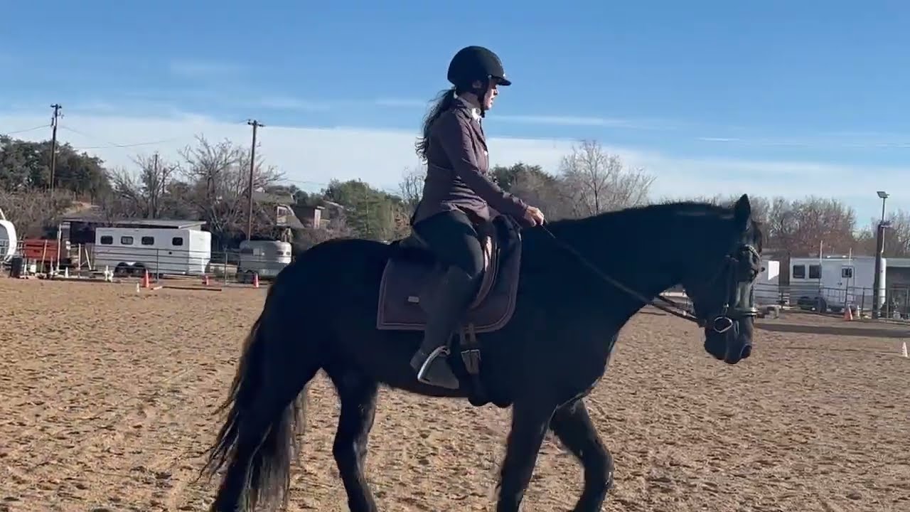 Lizann Dunegan and Mateo, Level 1 (Intro) Working Equitation Dressage Test