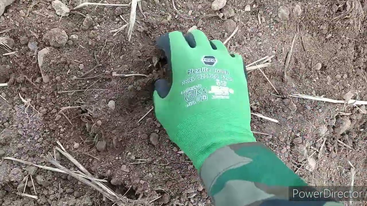 Knoflíky,i mincička, přeslen,hezké signály. (Vanquish 440) metal detector.