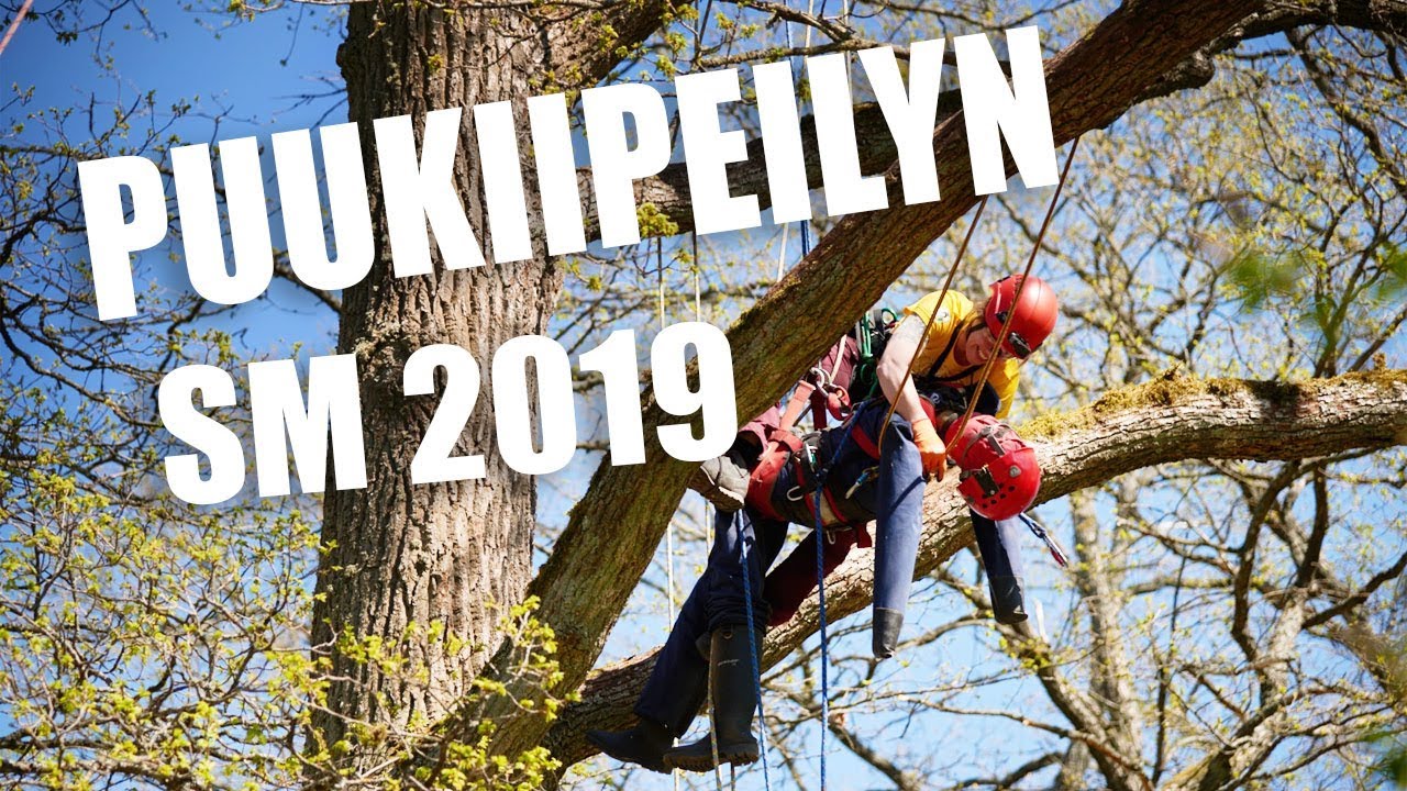 Puukiipeilyn SM-kilpailut 2019