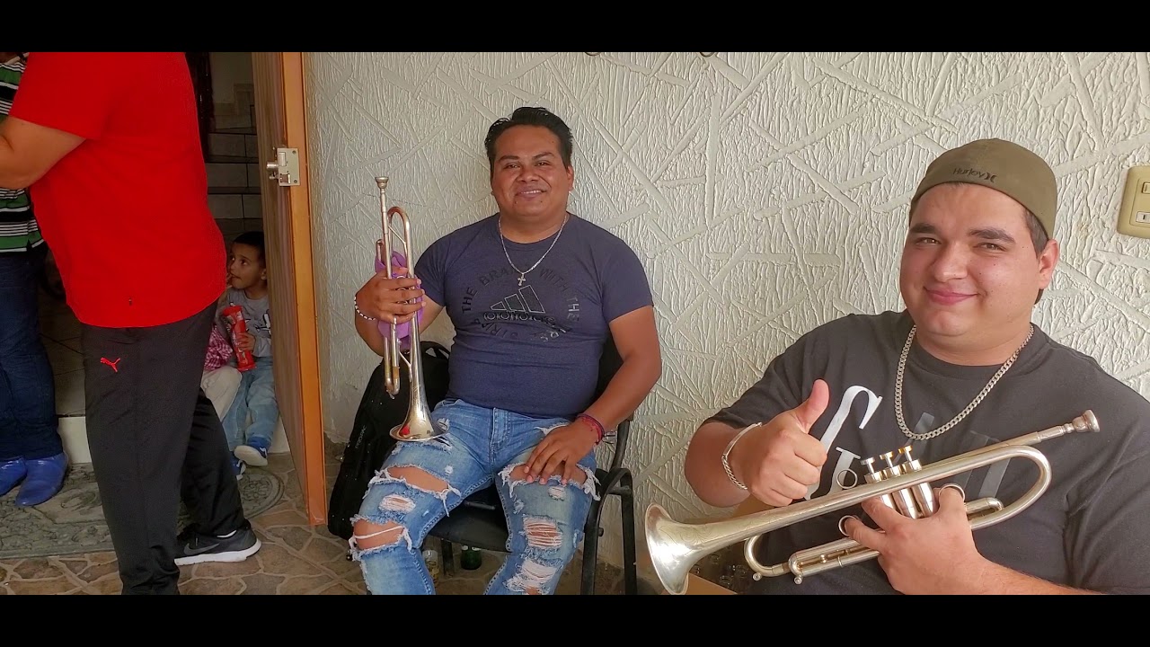 El Peine De Oro-Mariachi Nuevo Tamazula