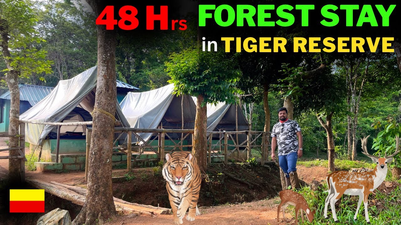 FOREST STAY in PERIYAR TIGER RESERVE - WILDLIFE TIGER TRAIL PERIYAR - JUNGLE STAY in THEKKADY KERALA