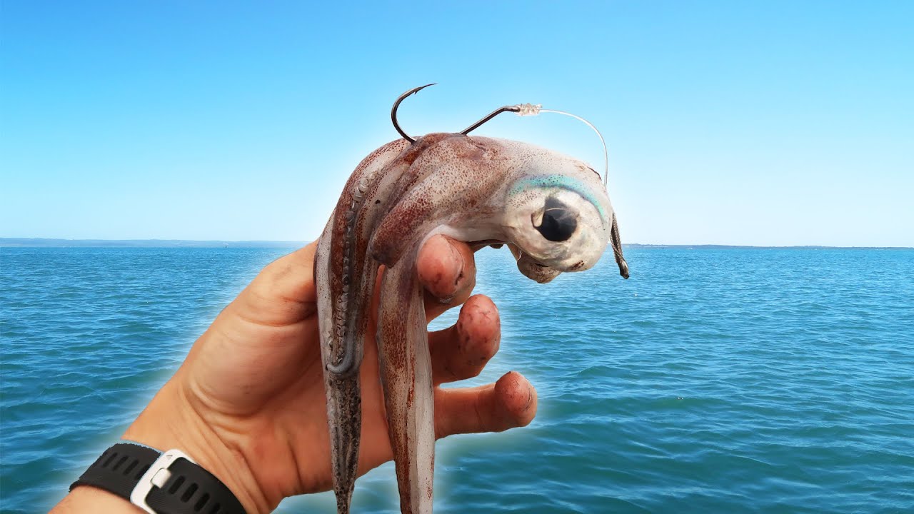 Ловля гигантской рыбы на большие приманки!