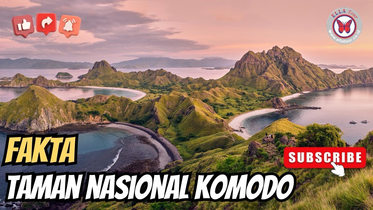 Fakta Taman Nasional Komodo