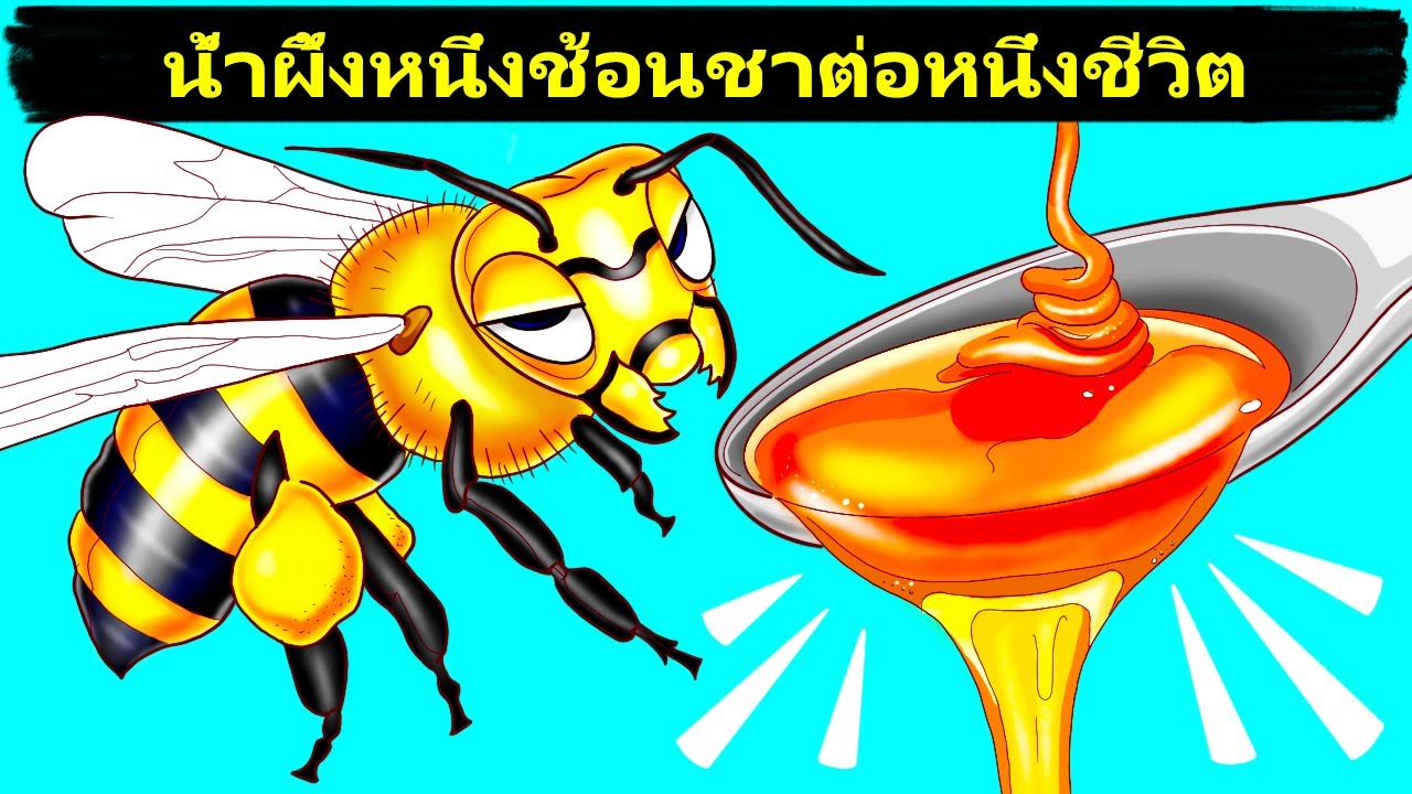 ผึ้งผลิตน้ำผึ้งได้อย่างไร และได้มากแค่ไหน (และเกร็ดอื่นๆ เกี่ยวกับผึ้งที่คุณอาจสงสัย)