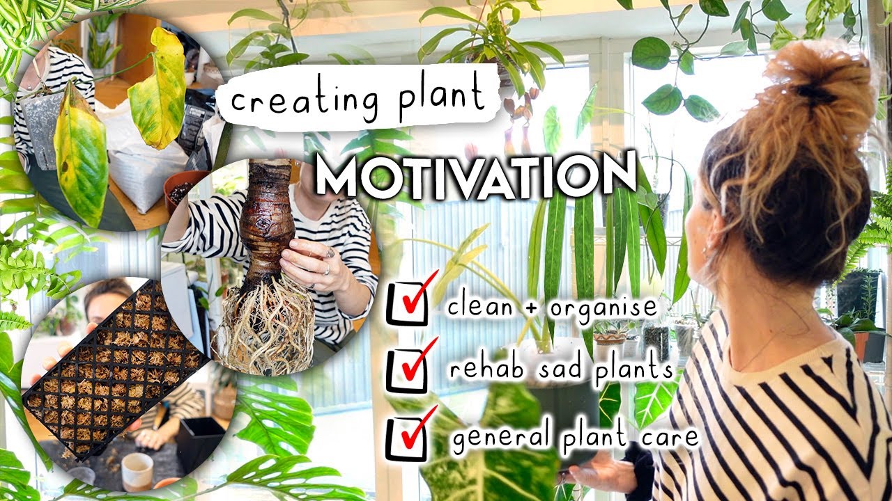 New Month, New Mindset 🌱 Planty Reset + Finding Motivation 💚
